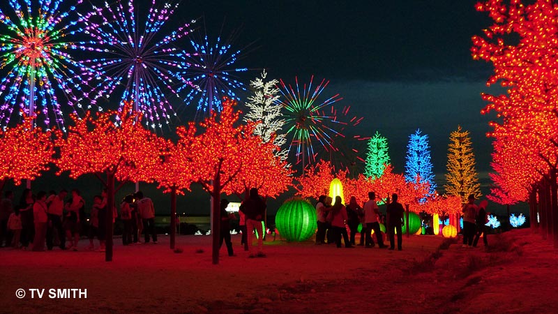 LED Land LED Land