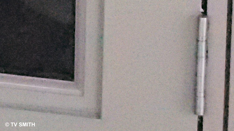 Olympus E-P3, ISO 12800, f11 1/500 sec (100% crop) Olympus E-P3, ISO 12800, f11 1/500 sec (100% crop)