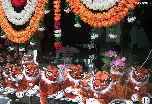 Tigers