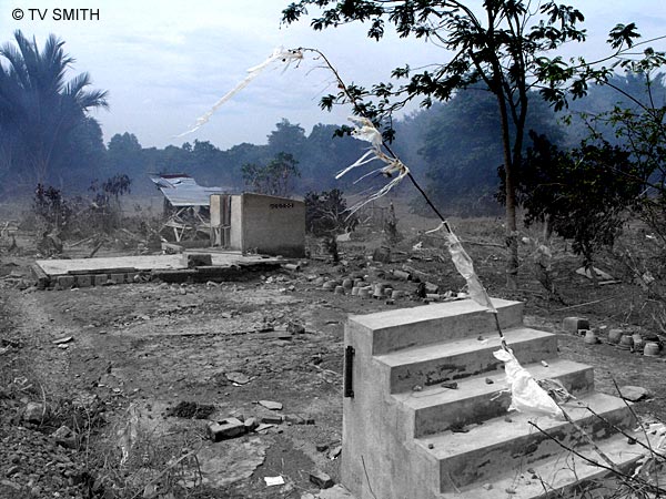 remains