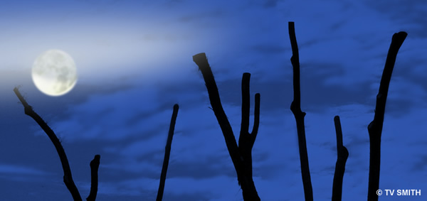 Blue Moon